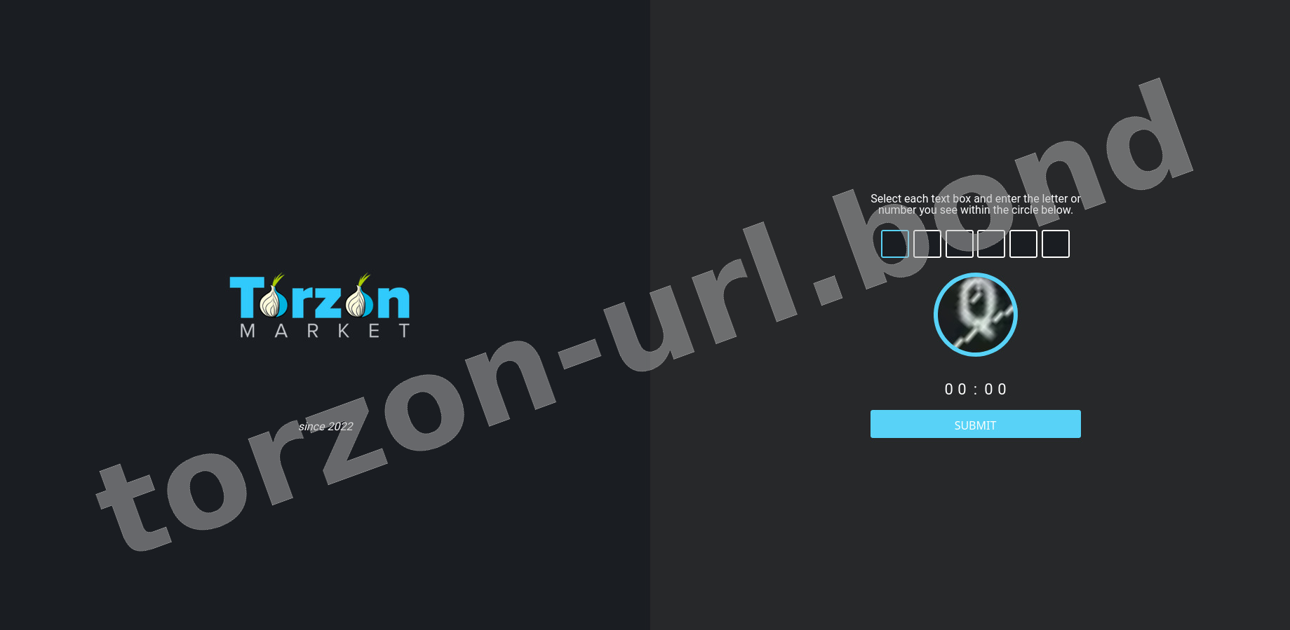 DDoS Protection Screen