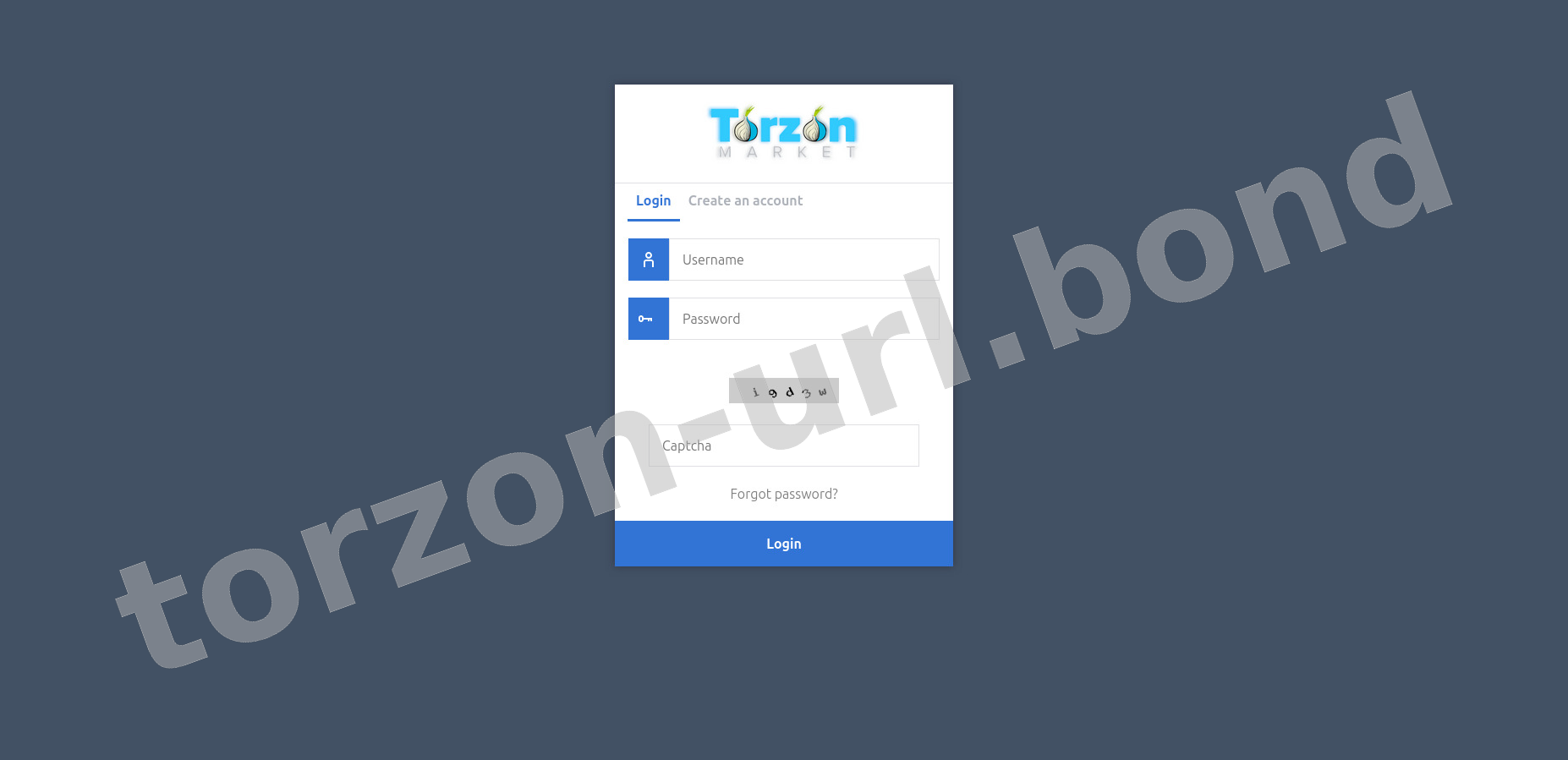 User Login Interface
